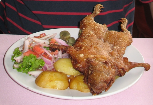 meerschweinchen.jpg