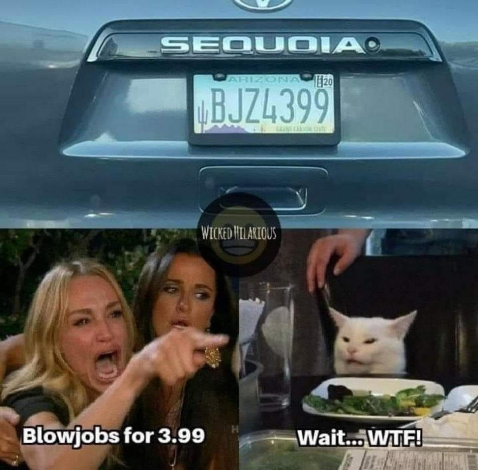 meme blowjob.jpg