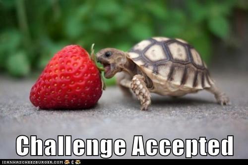 meme-ca-turtlestrawberry.jpg