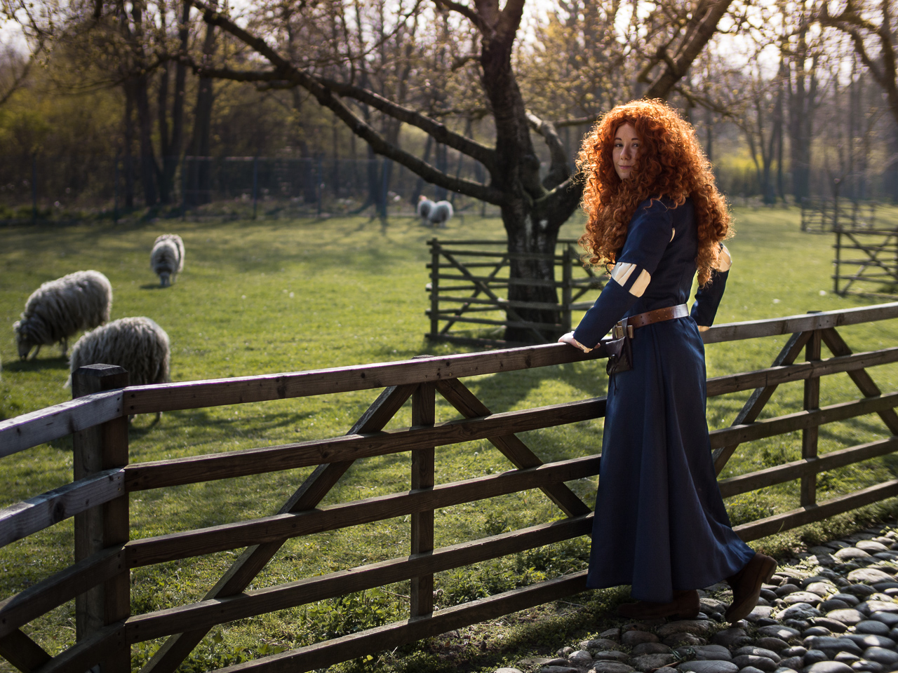 Merida-10.jpg