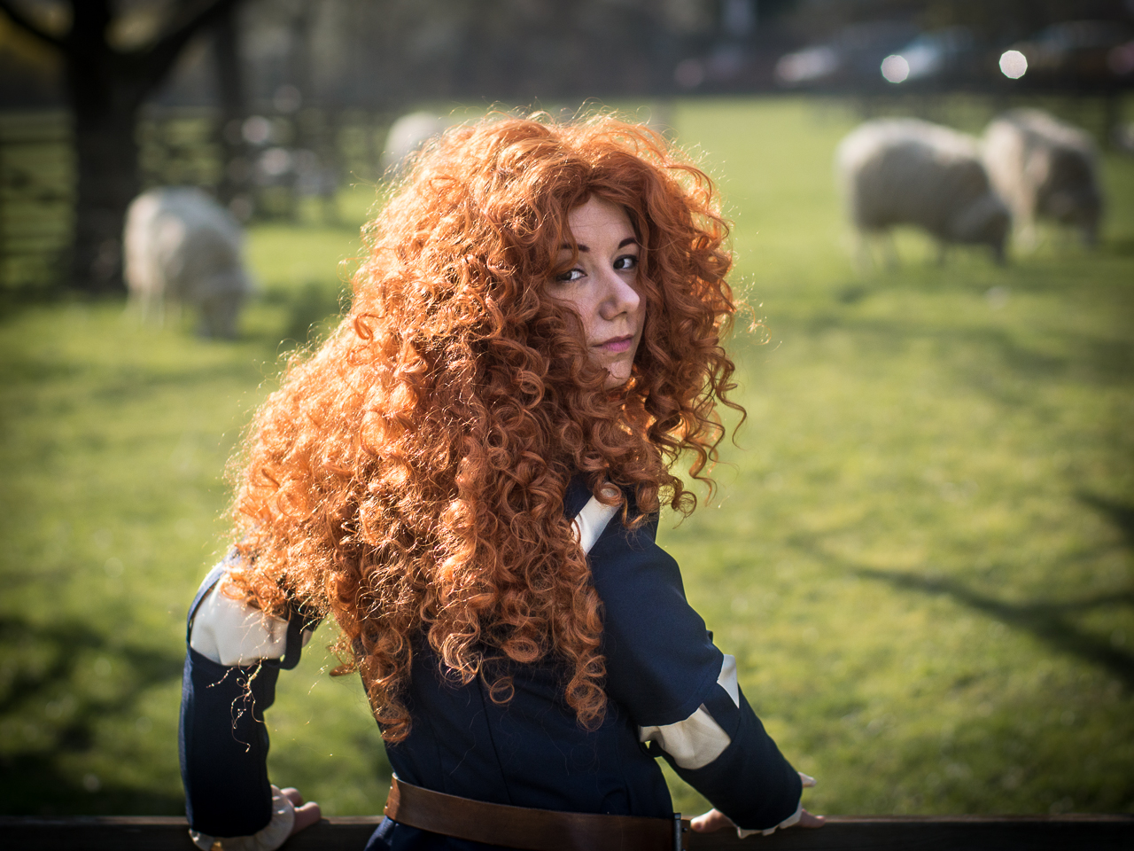 Merida-14.jpg