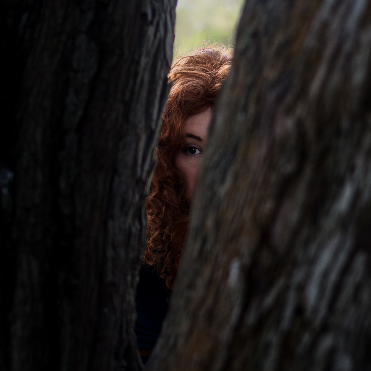 Merida-3.jpg