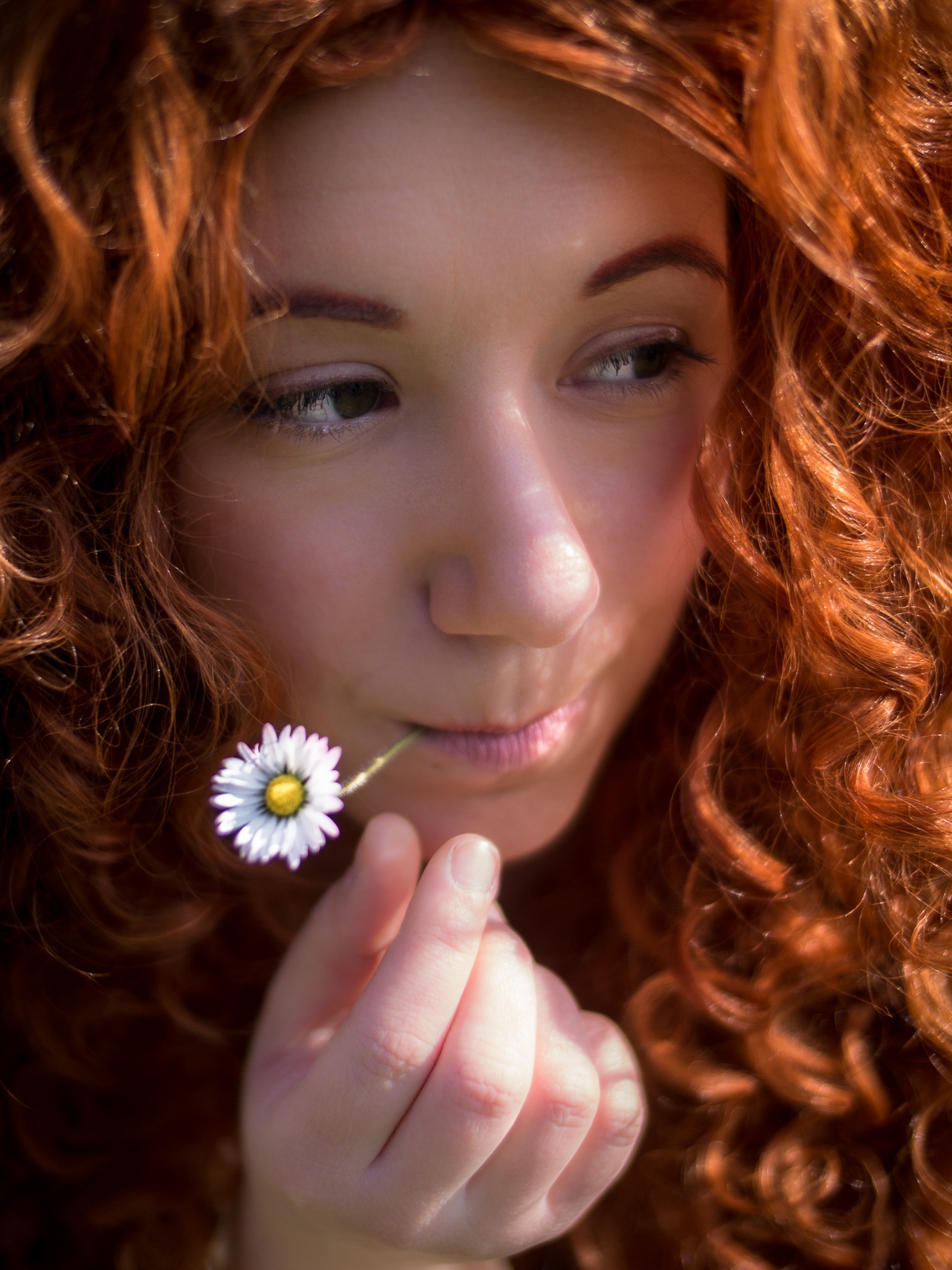 Merida-4.jpg