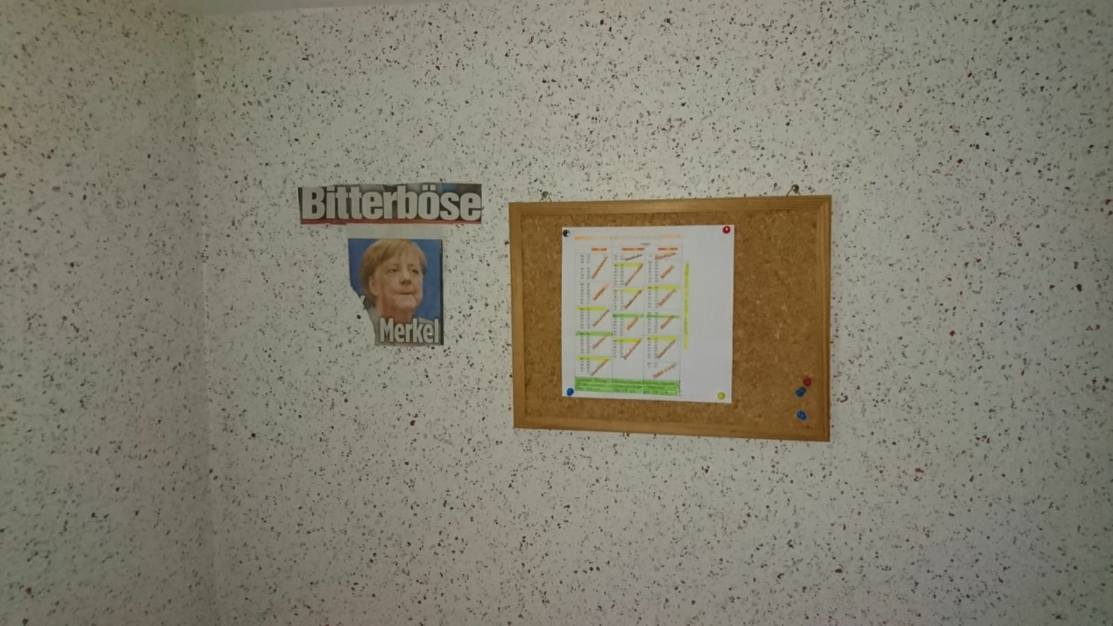 merkel.jpg