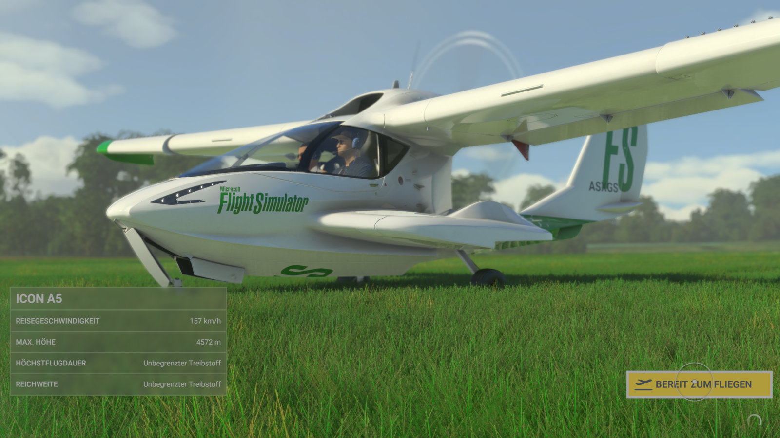 Microsoft Flight Simulator (4).png