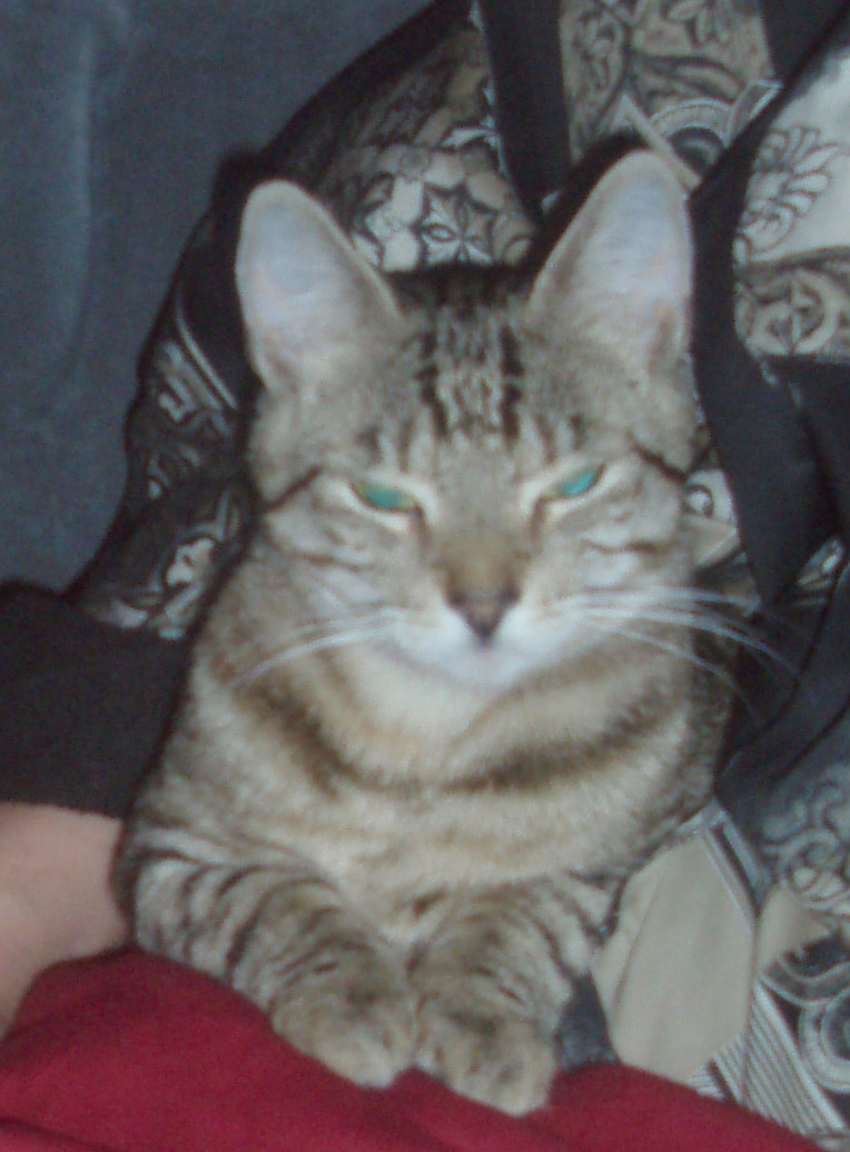 Mizi.jpg