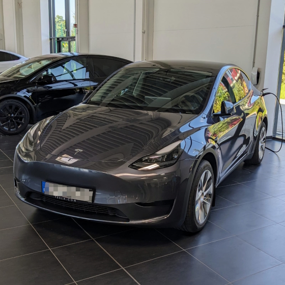 Model Y (MSM).jpg