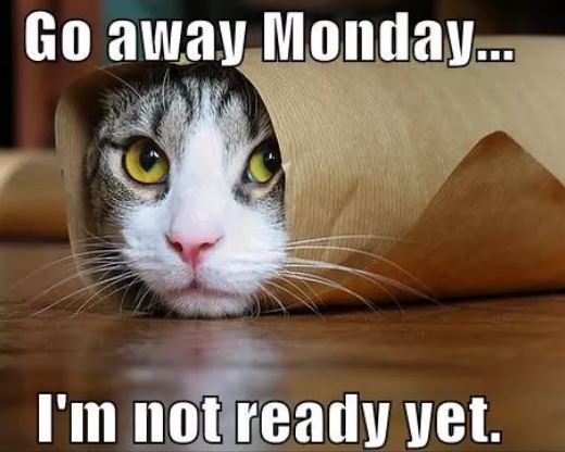 monday.JPG