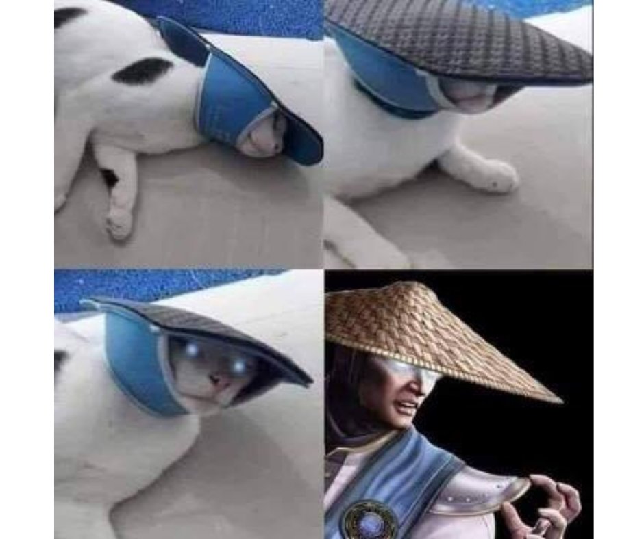 mortal comcat.jpg