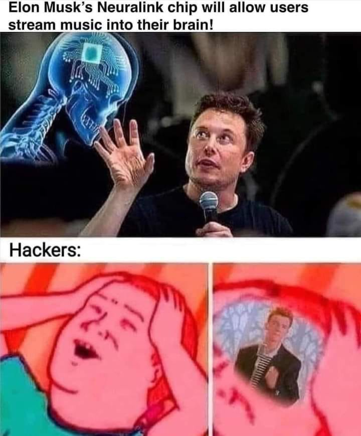 musk hackers.png