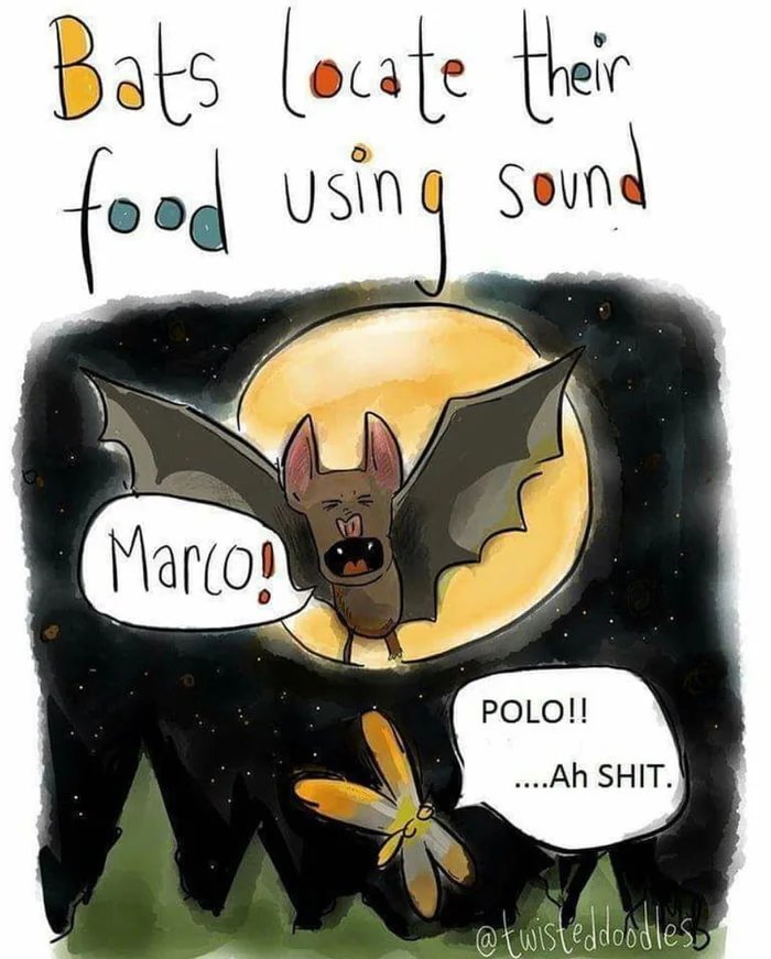 Na-na-na-na-na-na.jpg