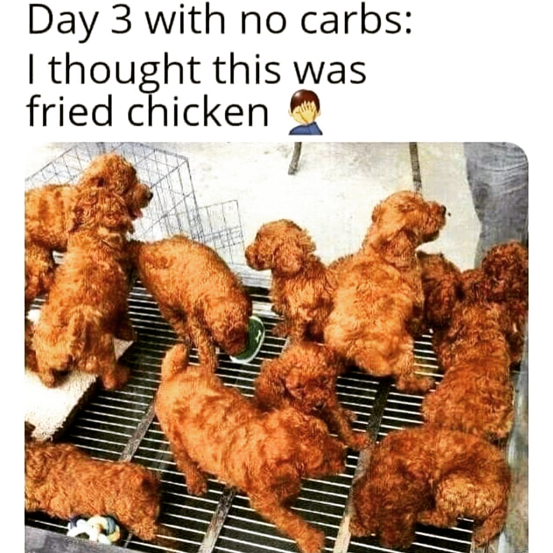 nck5bwfsnfs51.jpg