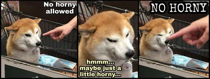 noh.png
