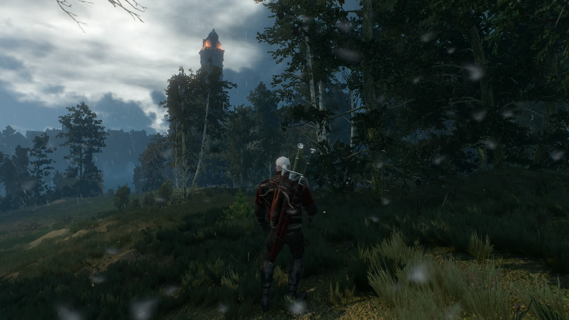 Novigrad_42.jpg