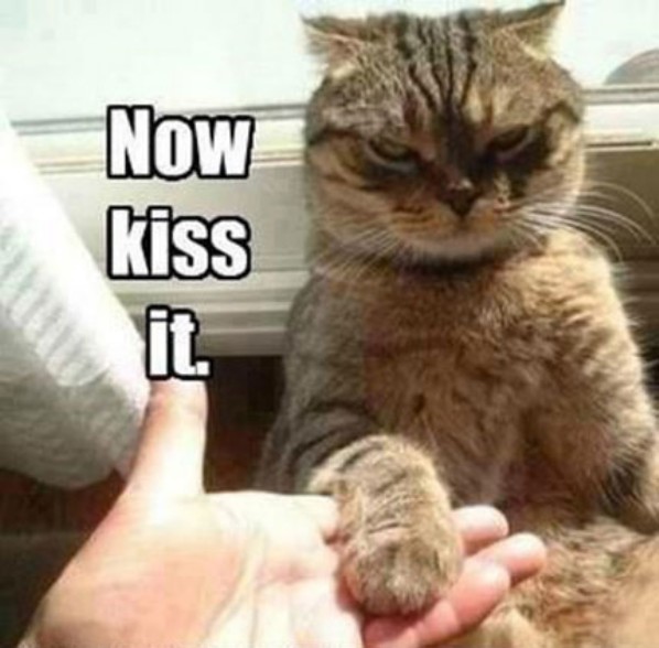 now-kiss-it.jpg