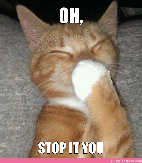 oh-stop-it-you.jpg