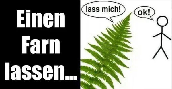 Ok-Tschss.jpg