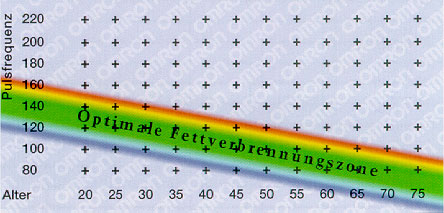 optimalefettverbrennungszo.jpg