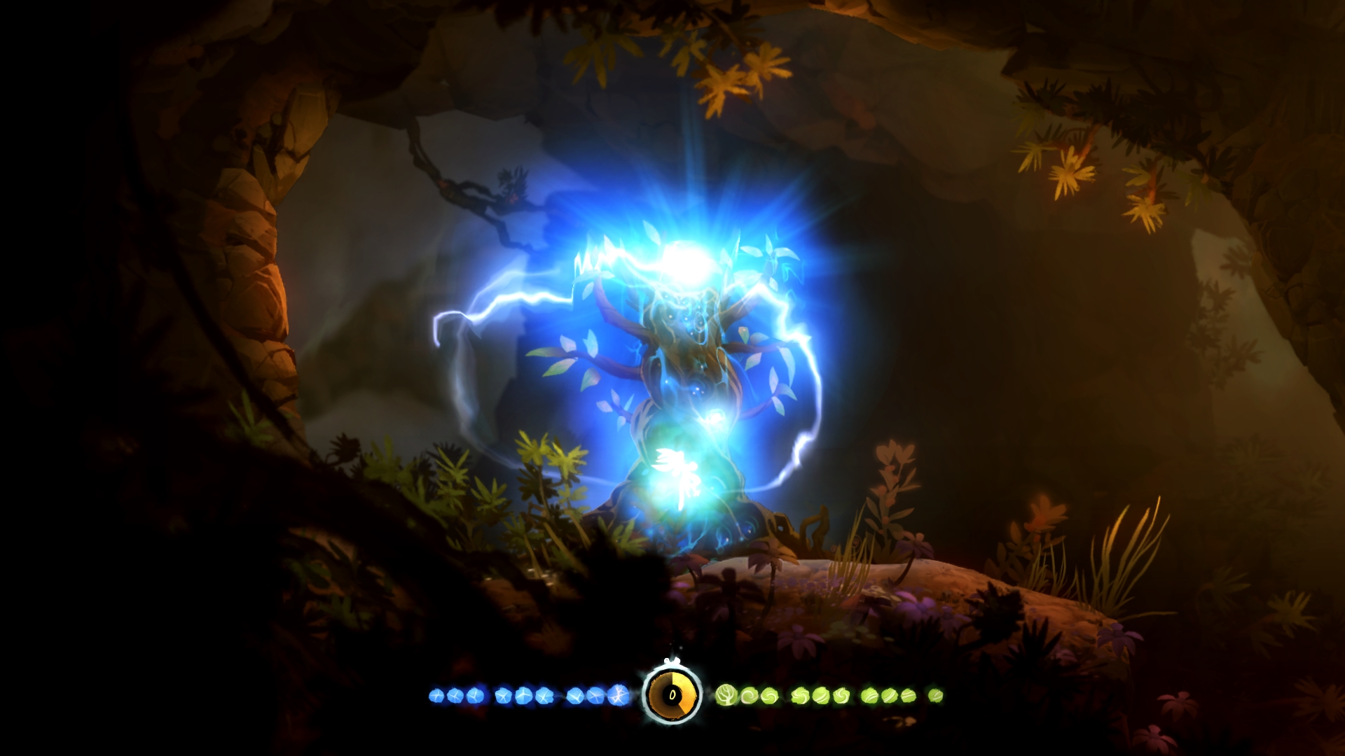Ori (10).jpg