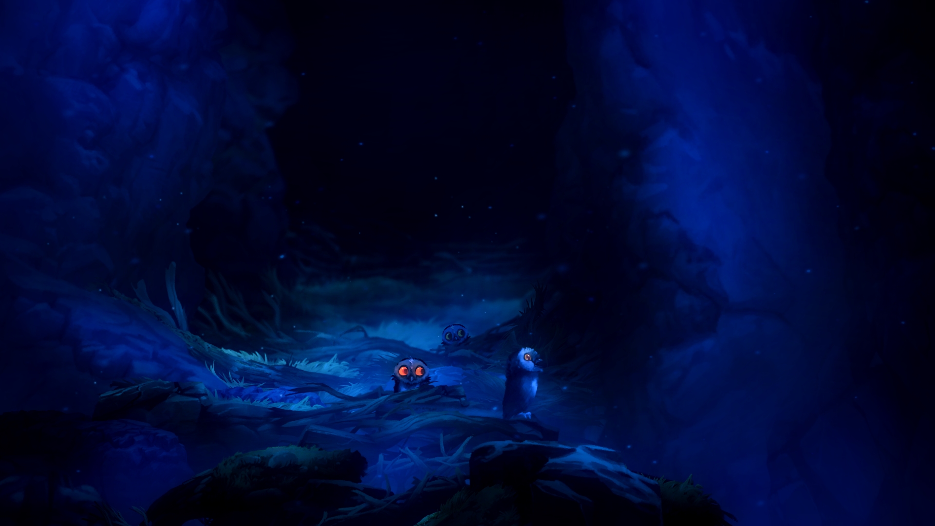 Ori (4).jpg
