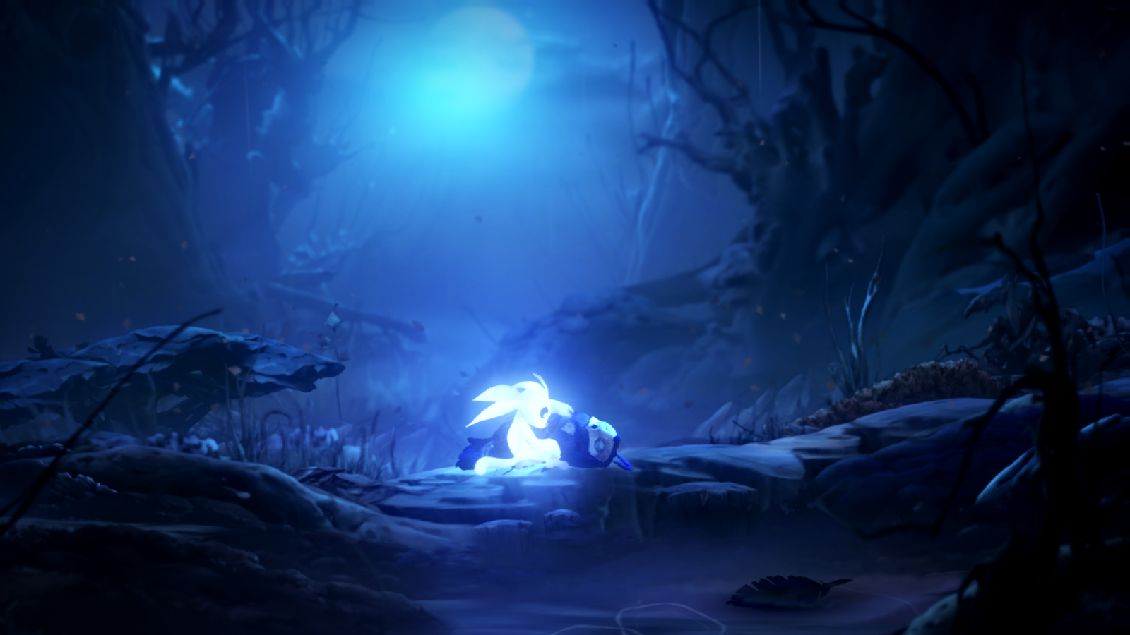 Ori and the Will of the Wisps (11).png