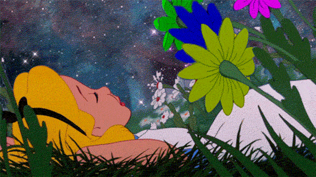 original.gif