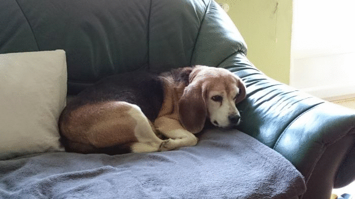 output_9f3W8d.gif
