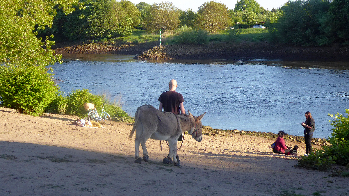 P1170019.JPG