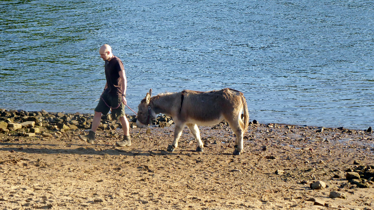 P1170025.JPG
