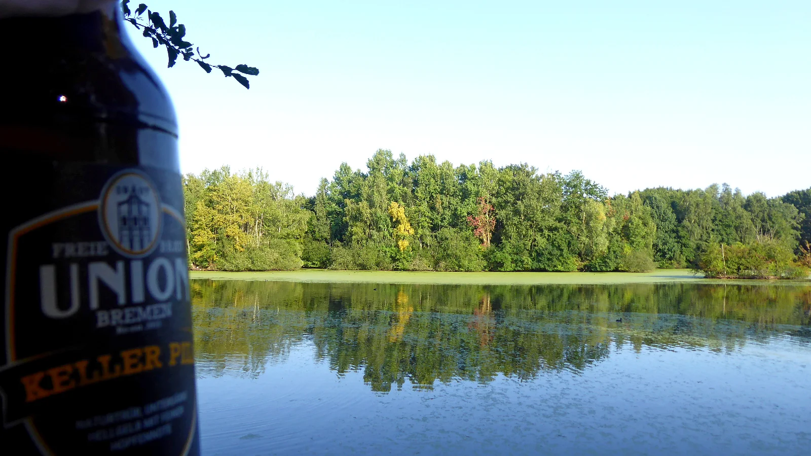 P1180187.webp