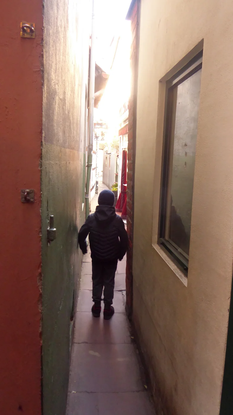 P1200500.webp
