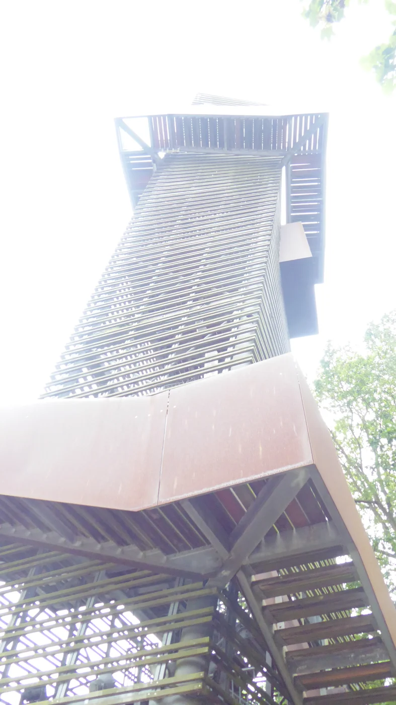 P1210817.webp
