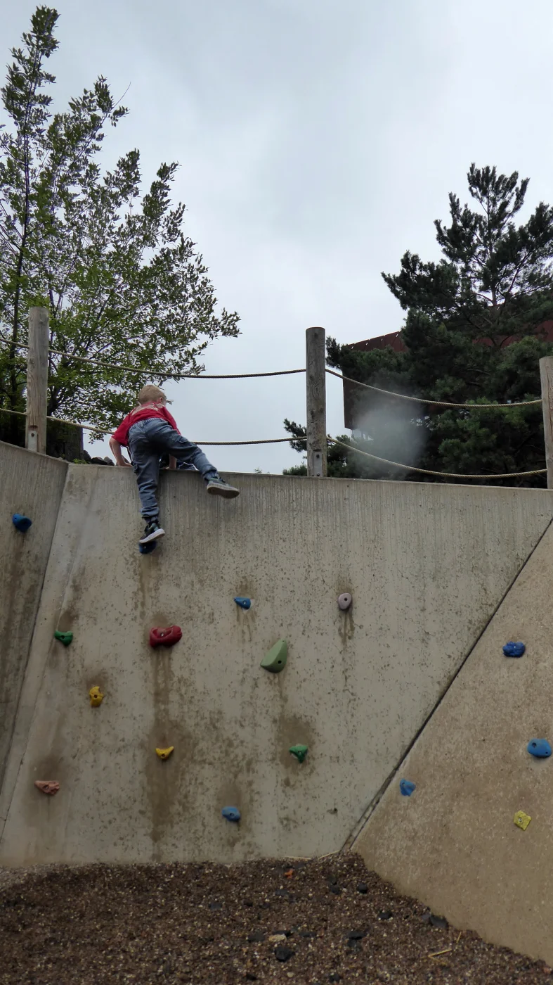 P1210830.webp