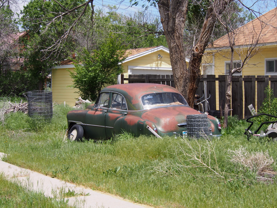 P5300269.JPG