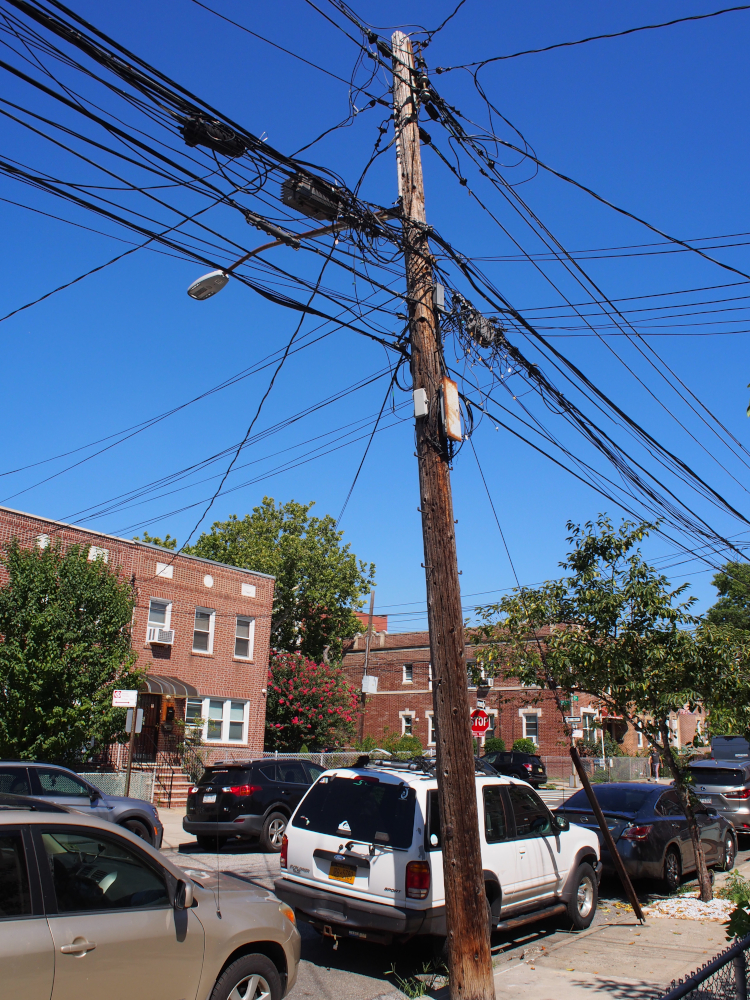 P8030005.JPG