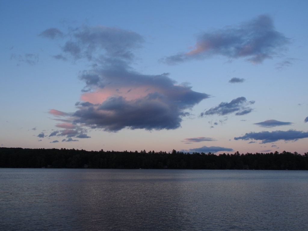 P8110373 (Mittel).JPG