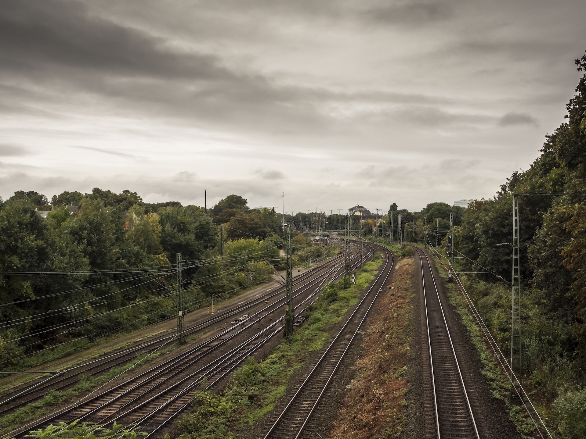 PA012215.jpg