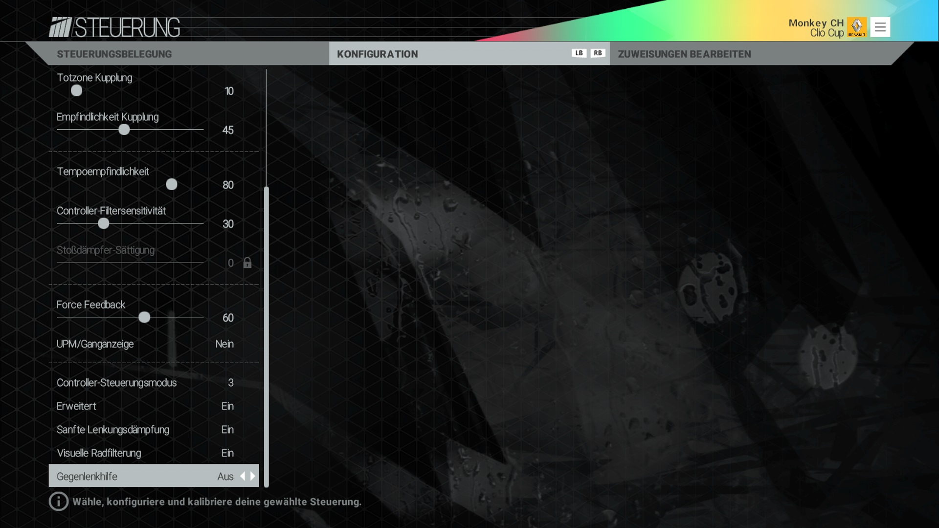 PCars_Setting2_2.jpg