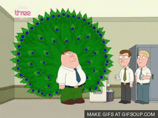 Peter griffin peacock.gif