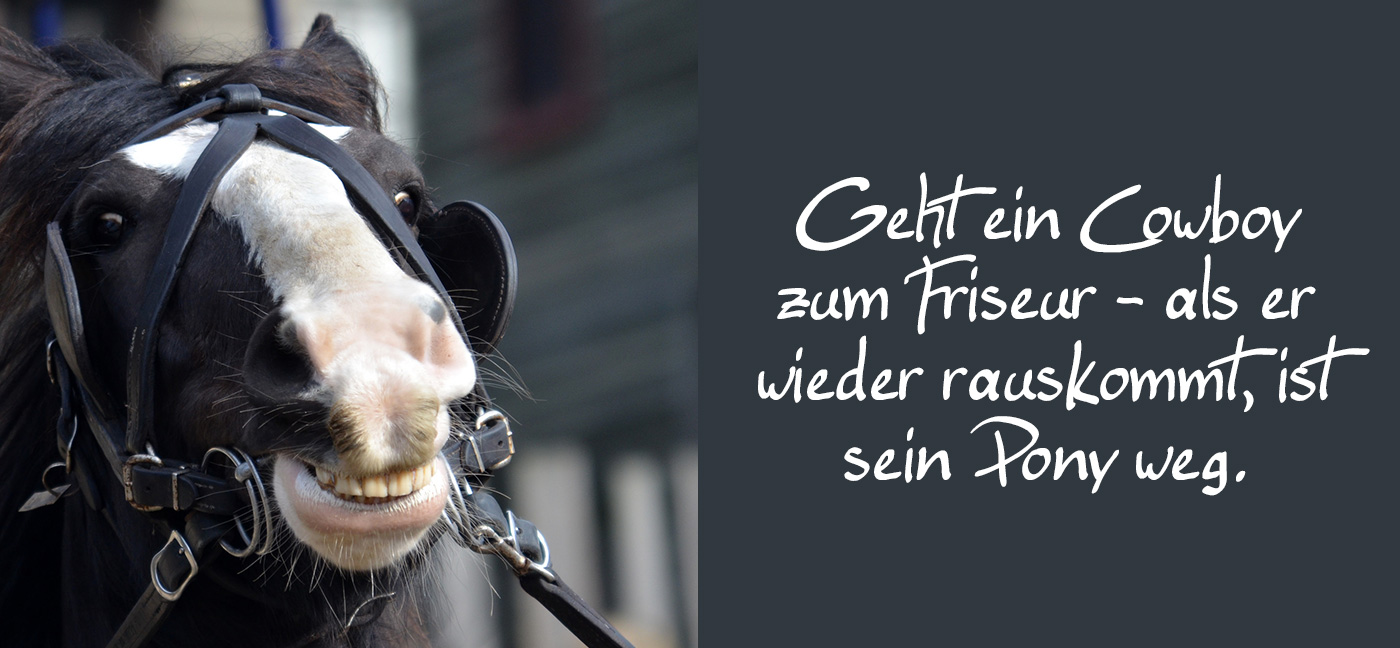 pferd_pony_cowboywitz.jpg