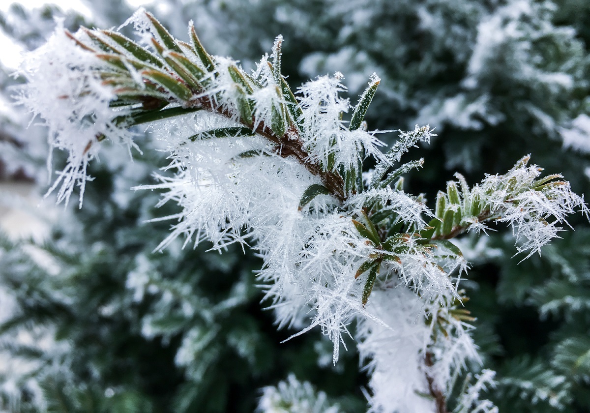 Photo 23-01-2017, 12 39 09.jpg