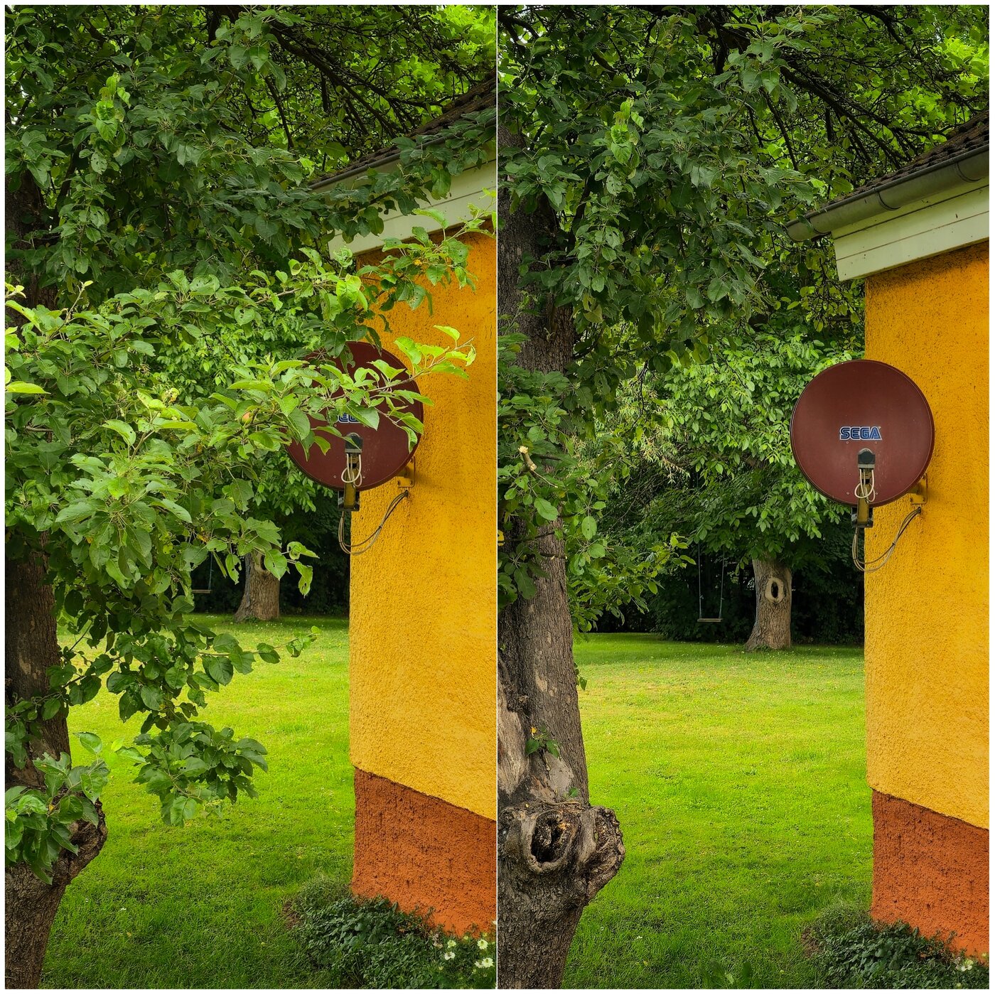 PhotoCollage_1749047149751.jpg