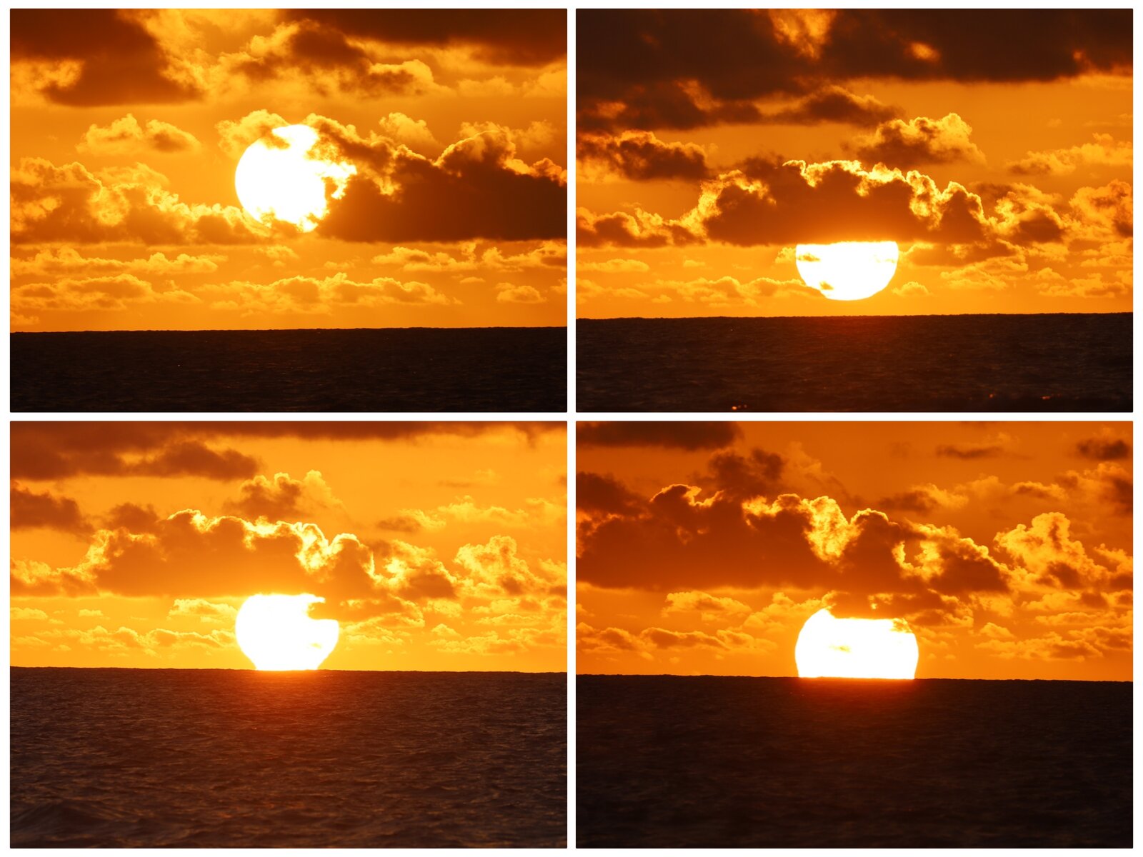 photocollage_2025329115534643.jpg