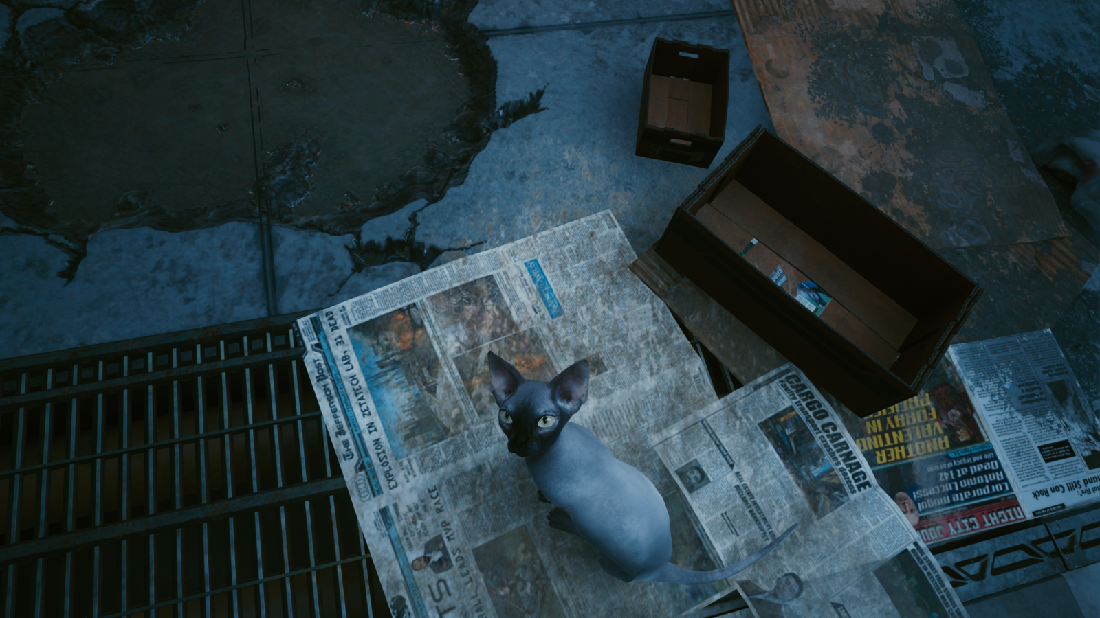 photomode_12122020_173810.png
