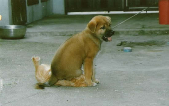 picdump-06.jpg