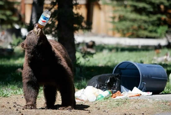 picdump-14.jpg