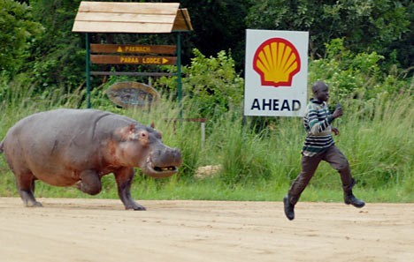 picdump-16.jpg