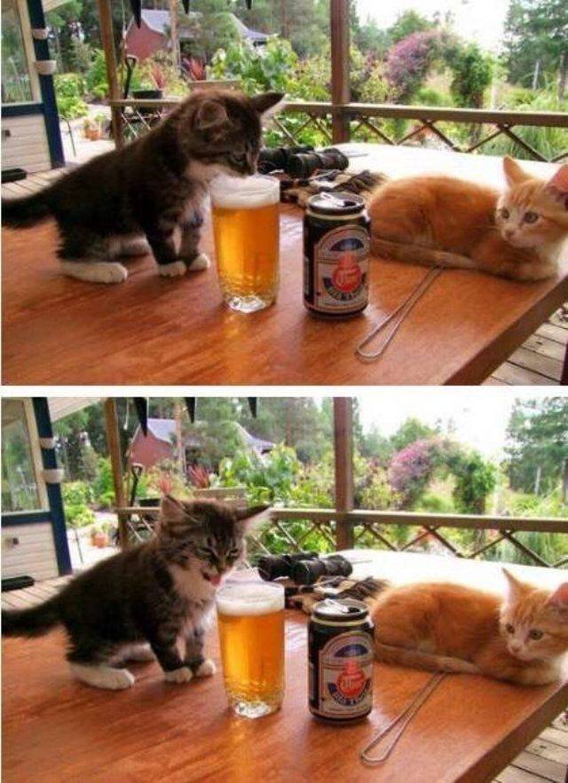 picdump-18-09-21-013.jpg