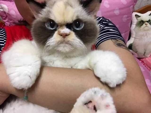picdump-19-09-27-148.jpg