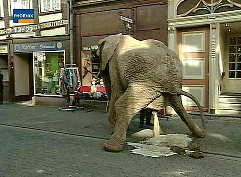 picdump-23.jpg